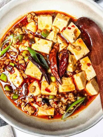 Simple Mapo Tofu Recipe featured image.