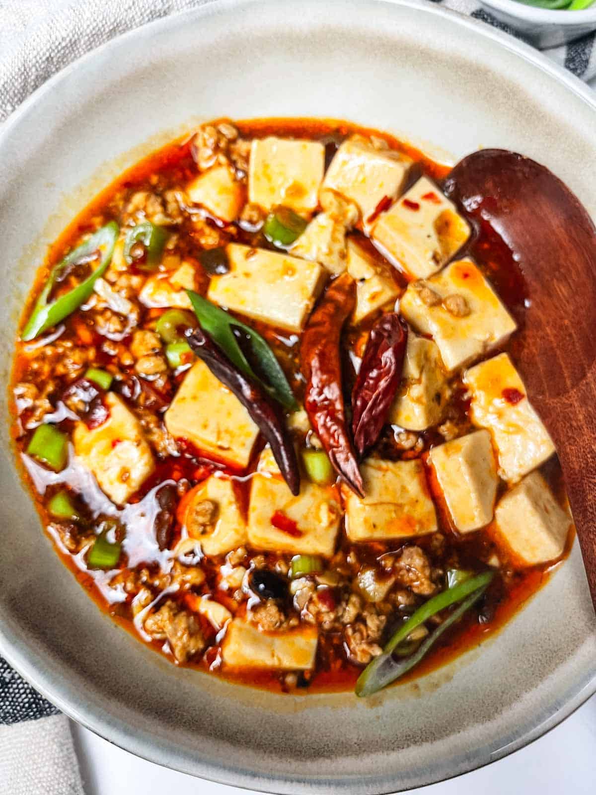 Simple mapo tofu recipe garnished in bowl.
