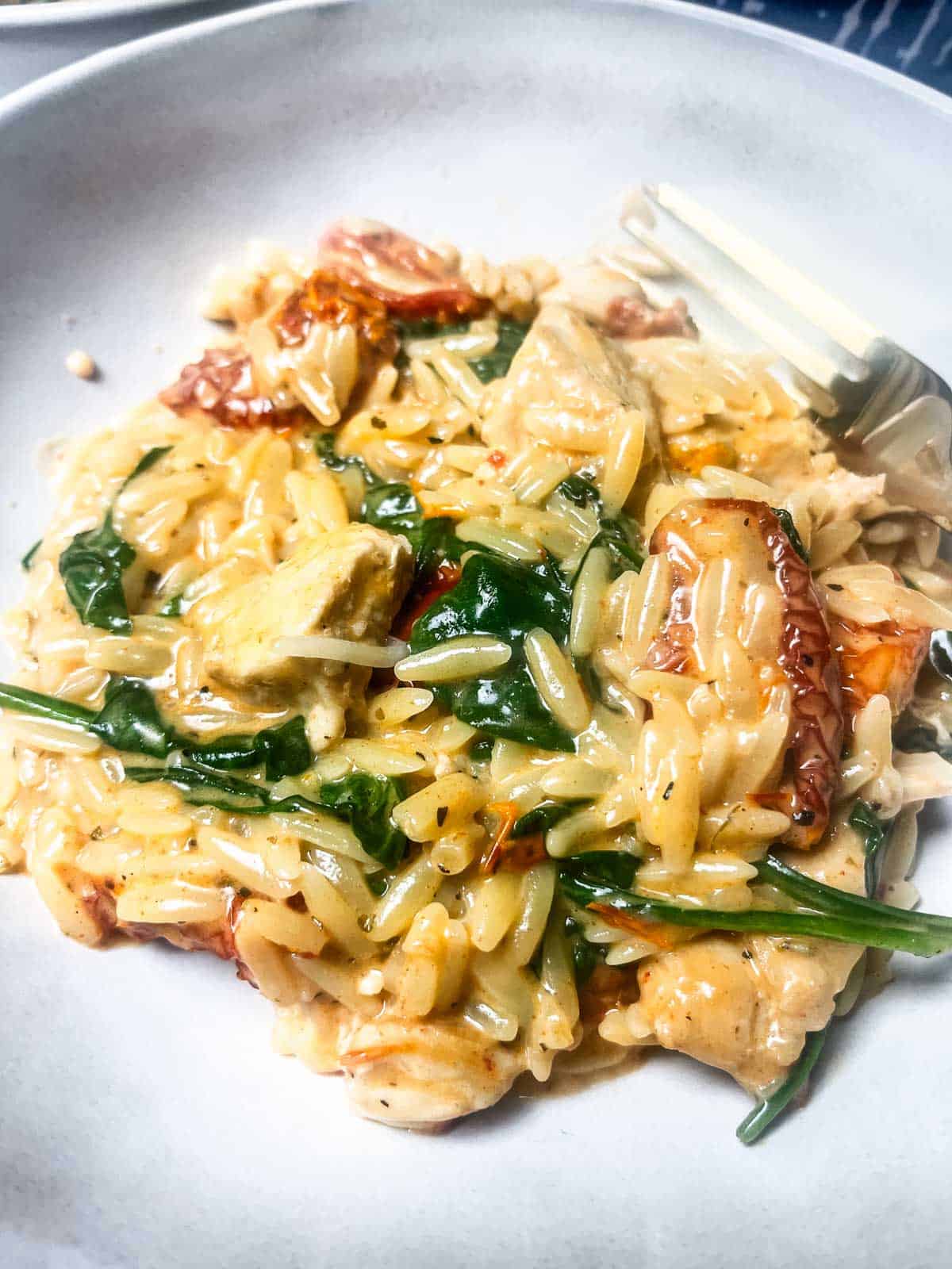 Chicken Orzo Pasta Bake no garnish.