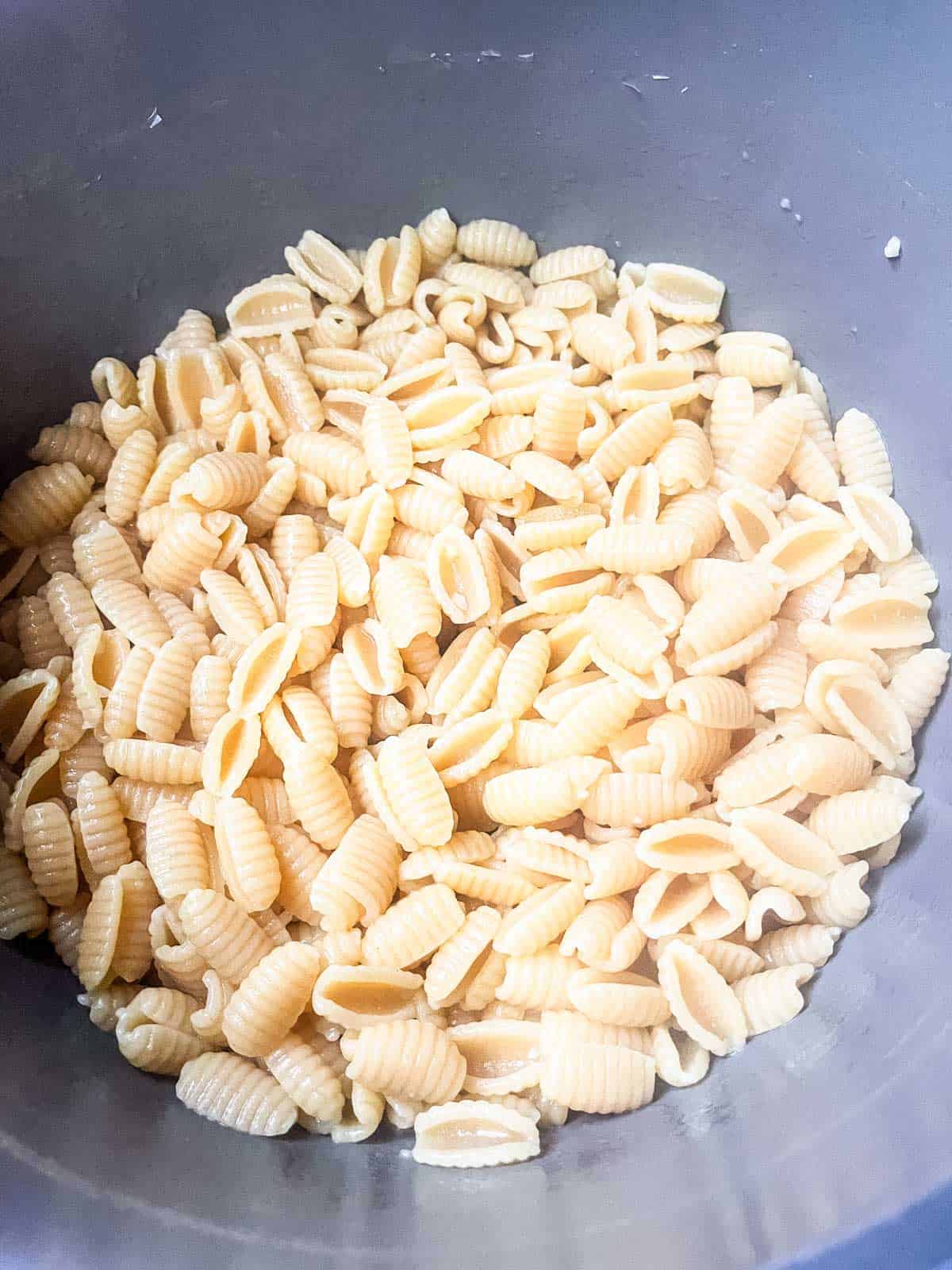 Cooked pasta.